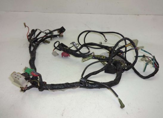 Kabelbaum Kawasaki Overige Kawasaki