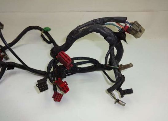 Kabelbaum Honda CBR 1000 F