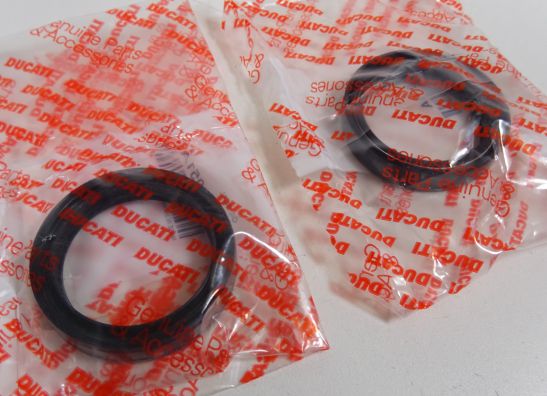 Voorpoten Ducati ST4