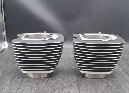 Cilinderblok Harley Davidson FLSTF Fat Boy