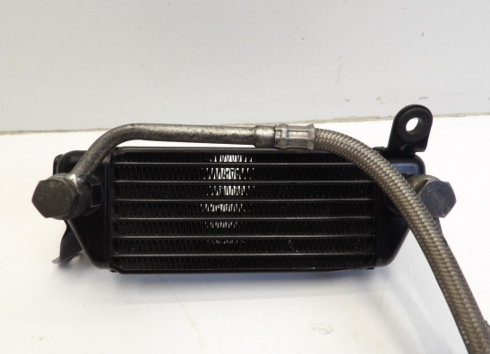 Olkuhler Triumph T509 Speed Triple