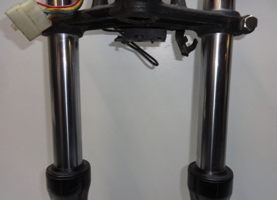 Voorpoten compleet Kawasaki Overige Kawasaki