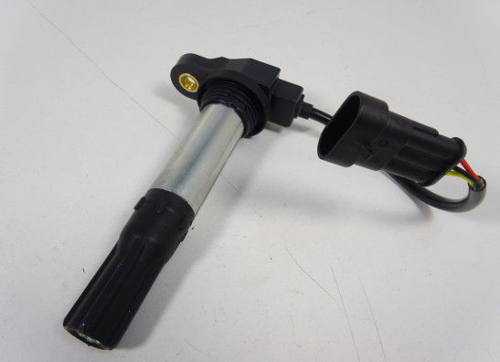 Bobine Aprilia Tuono 660