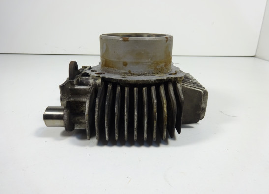 Zylinder Ducati monster 600