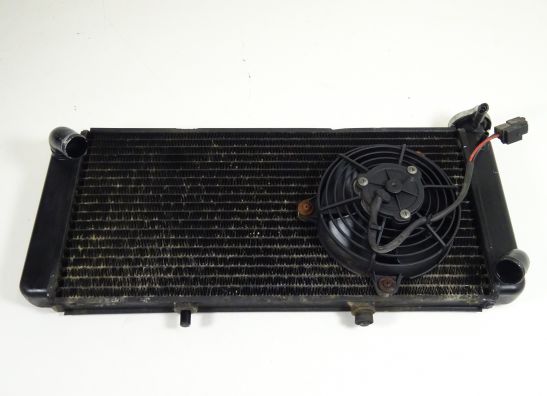 Radiateur Aprilia Caponord 1000