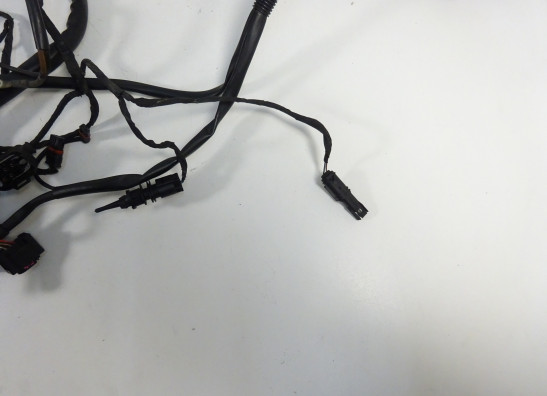 Kabelboom BMW F 650 GS