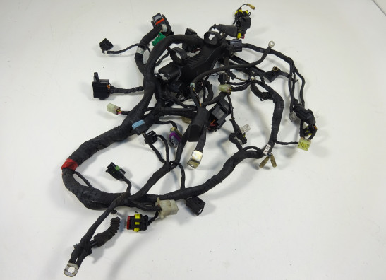 Wire Harness Ducati monster 796