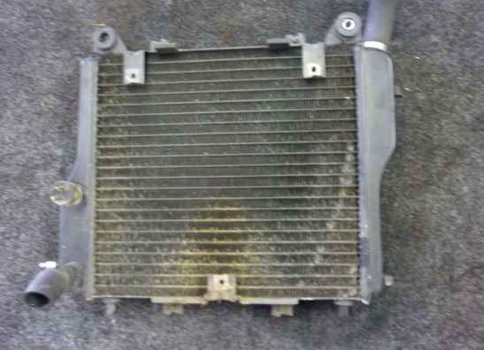 Radiateur Kawasaki GTR 1000 1986-2003