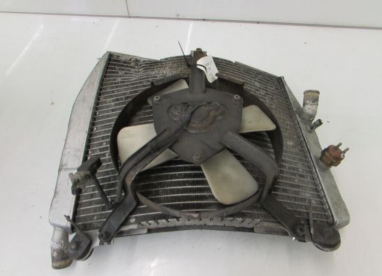 Radiateur Kawasaki ZXR 750