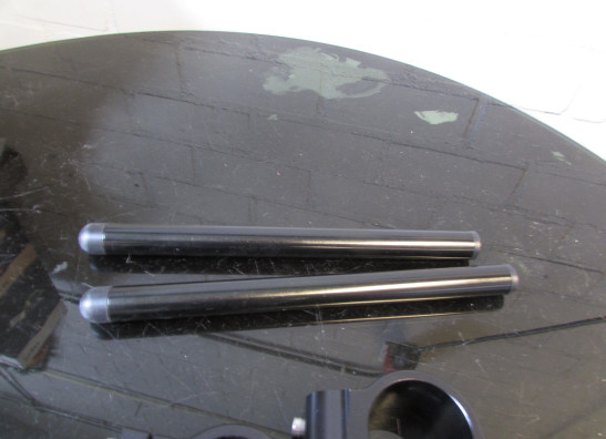 Steer Overig Onbekend Unknown