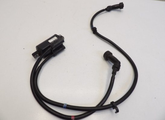 Bobine Yamaha XJ 900 S Diversion
