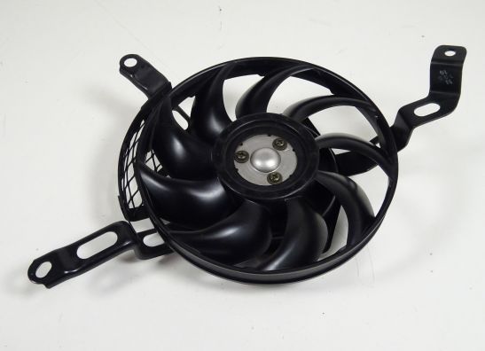 Fan Suzuki GSX R 1000