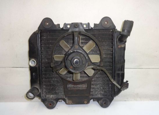 Radiateur Kawasaki ZZR 250