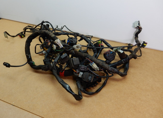 Wire Harness Moto Guzzi Norge