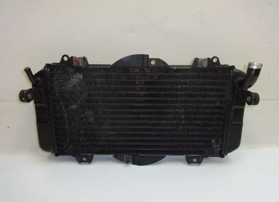 Kuhler Yamaha FZR 600