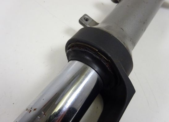 Voorpoot links compleet Suzuki Burgman 650