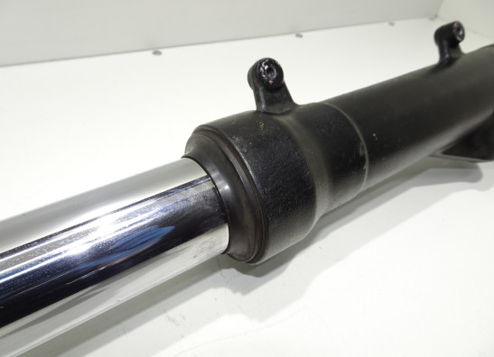 Standrohr Gabelholm rechts komplett BMW F 800 R