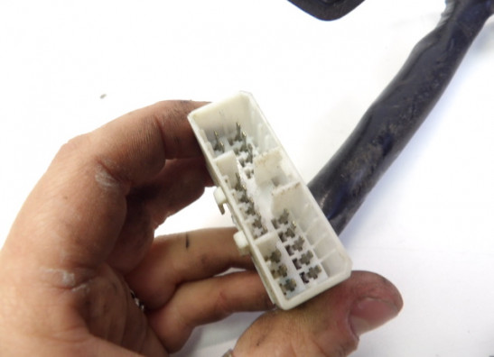 Kabelboom voor Yamaha YZF R6