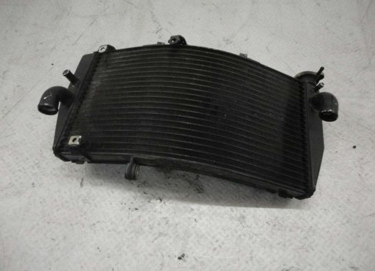 Kuhler Honda CBR Fireblade