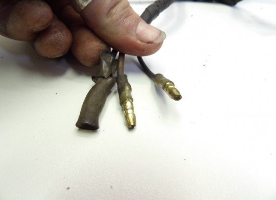 Dynamo Kawasaki Z 750