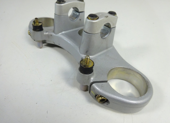 Kroonplaat Ducati monster 600