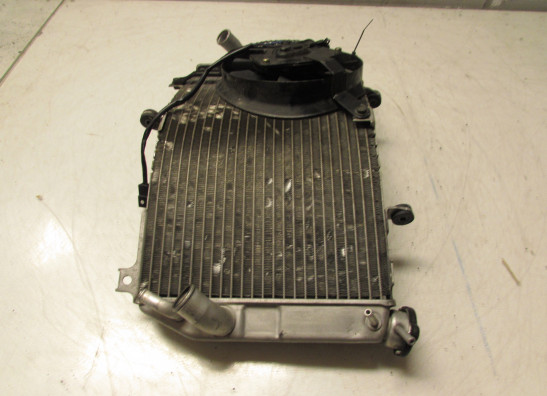 Radiateur Suzuki GSX R 600