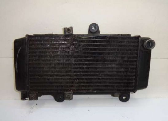 Kuhler Yamaha XTZ Tenere