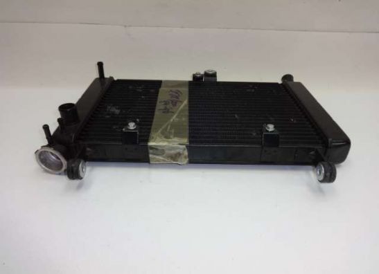 Radiator Yamaha YZF 600 Thundercat