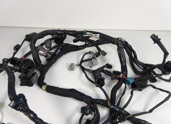 Wire Harness Kawasaki VERSYS 650
