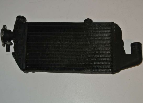 Radiateur BMW K 1200 LT
