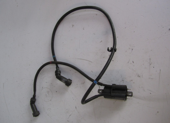 Bobine Yamaha XJ 900 S Diversion