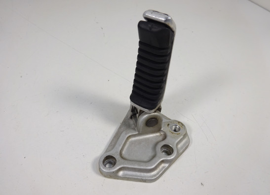 Schetsplaat links Ducati Paso