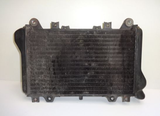 Radiator Kawasaki GPX 750