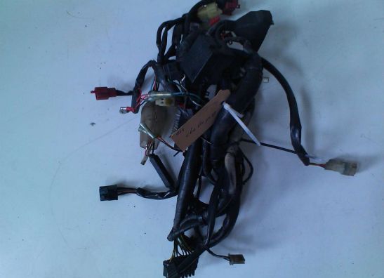 Wire Harness Honda CBR 600 F