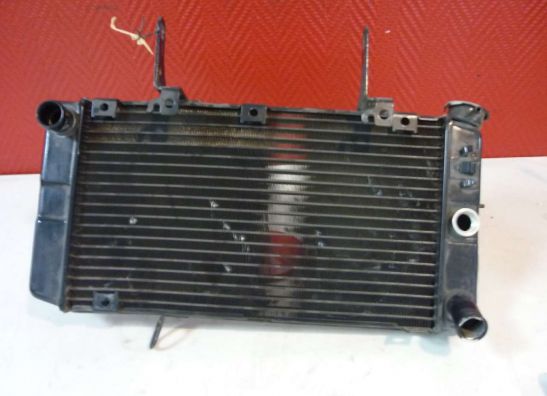 Radiateur Yamaha FAZER 600