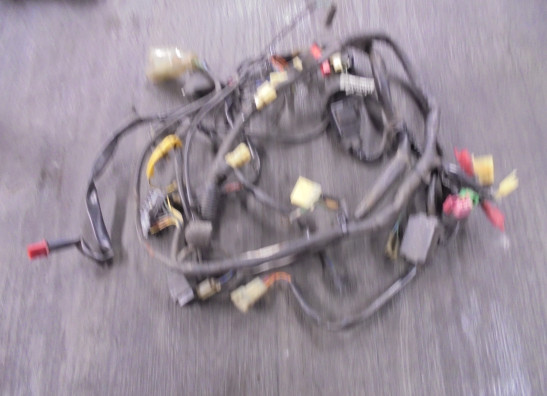 Kabelboom Honda CBR 600 F 1995-1998