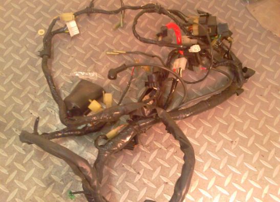 Kabelboom Yamaha YZF 600 Thundercat