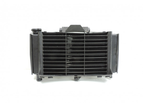 Radiateur Yamaha FZ6