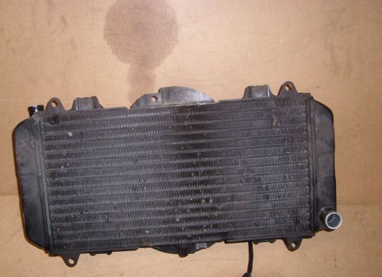 Radiator Yamaha FZR 600