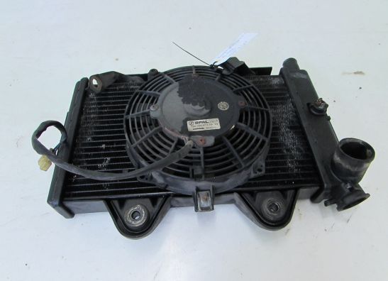 Radiateur Triumph Sprint 900 Executive