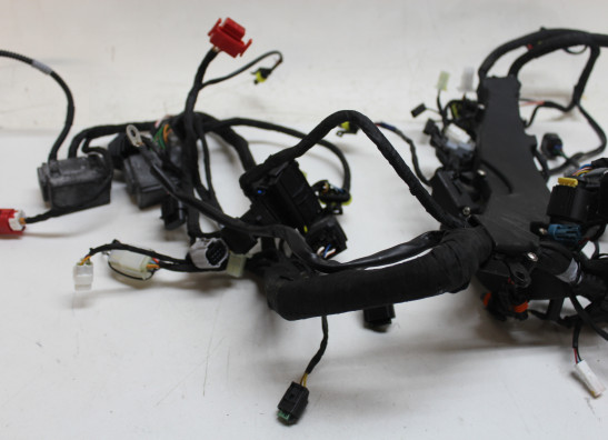 Kabelboom Aprilia RS 660