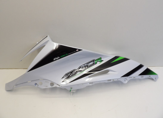 Kanzel links Kawasaki ZX 10 R