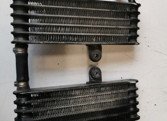 Olkuhler Aprilia RSV 1000