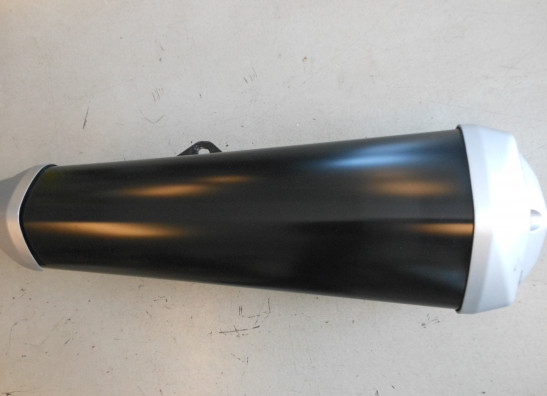 Auspuff Kawasaki ZZR 1400