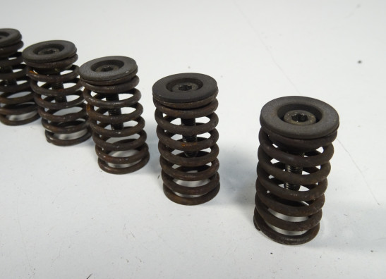 Kupplung Ducati Multistrada 1000