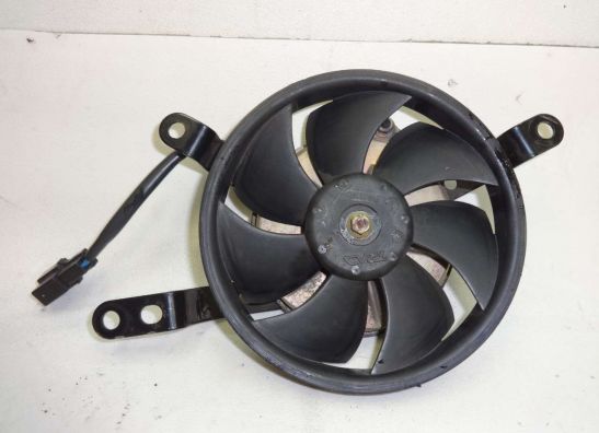 Fan Yamaha YZF R1