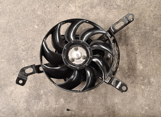 Fan Suzuki GSX R 1000