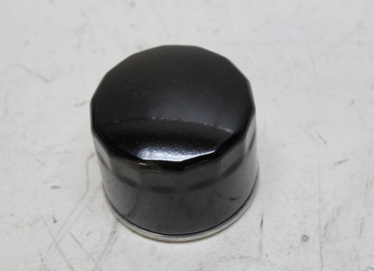 Oliefilter BMW F 800 GS