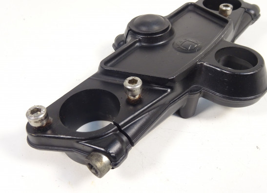 Kroonplaat Ducati Paso