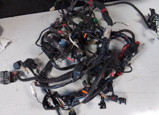 Kabelbaum Aprilia Shiver 750